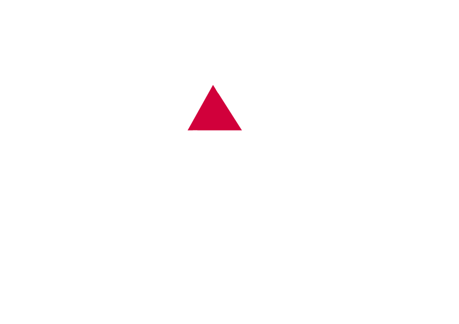 Austroflamm Logo